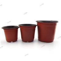 50pcs Plastic Pot Garden Planter Nursery Plant Grow Pots Cup for Flower Gardening Tools Home Tray Box Grow Pots Wholesale YB8TH