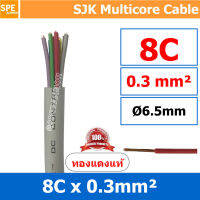 [ 1 เมตร ] SJK 0.3 Sq.mm. 8C x 0.3 สายมัลติคอร์ 8 คอร์ Multicore Cable สาย AV Control Cable SJK สาย คอนโทรล 0.3 sq.mm. Multi Core Cable 0.3mm Control Signal Power Control Cable Control Wire สายคอนโทรล สายมัลติคอ สายสัญญาณ สายคอนโทรล เบอร์ 0.3 มม สี เทา Gr