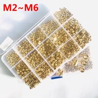 Insert Nut Set M2 M2.5 M3 M4 M5 M6 Brass Hot Melt Knurled Nut Thread Heat Molding Double Twill Injection Embedment Copper Nut 3D Nails Screws Fastener