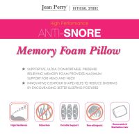 Ann Taylor Anti Snore Memory Pillow