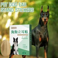 Pet Dog Ear Stick Large And Small Dog Auxiliary Ear Stick Stick Dog Correction Ear K6R3