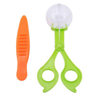 Scissors for Insect Catcher Practical Insect Scissors Tweezers Learning Toy Scissors Tongs Tweezers Sensory Learning Tool Nature Exploration for Kids Outdoors show