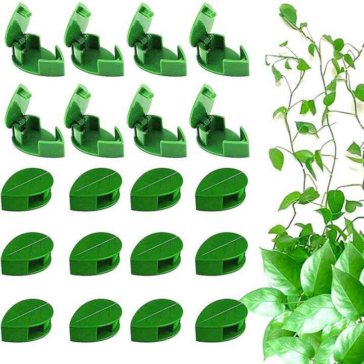 plant-climbing-wall-clamp-self-adhesive-plant-wall-clamp-invisible-leaf-vine-bracket-for-home-decor-cable-organizer