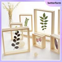 BETTERFORM DIY ศิลปะ แฟชั่น วินเทจ ตัวอย่างพืช ทำด้วยไม้ ที่ใส่รูปภาพ กรอบรูป