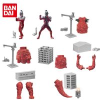 Gashapon อัลตร้าแมนอัลตร้าเจ็ดหมีแพนด้าดั้งเดิม Bandai สร้างของเล่น Action FIGURE Anime สำหรับเป็นของขวัญเด็กชายเด็กหญิงเด็ก