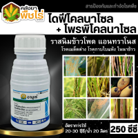 ? อามูเร่ (ไดฟีโนโคลนาโซล+โพรพิโคนาโซล) 250ซีซี ลดโอกาสการเกิดเมล็ดด่าง เมล็ดลีบ