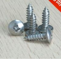 Hardware supplies 304 stainless steel cross mushroom head tapping screws mushroom  for furniture M4*8 Nails Screws  Fasteners