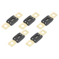 Car Audio Blade Fuse Gold Plated Car Audio ANM Fuses for Automobile Fuses Accessories