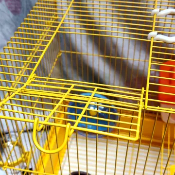 Hamster bin cage outlet for sale