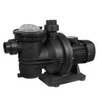 Solar Pool Pump DC Swimming Off Gird 48V 500W 14m 12000 LH MPPT Controller DLP15-14-48500