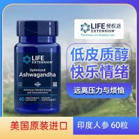 Ashwagandha Ashwagandha Life Extension Ashwagandha เทสโทสเตอโรน