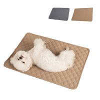 【CC】 Dog Diaper Reusable Training Cushion Pee Blanket Urine for Dogs Car Cover