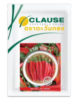 CLAUSE ตราตะวันทอง พริกหนุ่ม สายพันธุ์ลูกผสม เรดซัน (HOT PEPPER Red Sun F1)