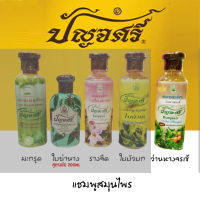 แชมพู สมุนไพร ปัญจศรี ว่านหางจระเข้ 250 ml 1 ขวด