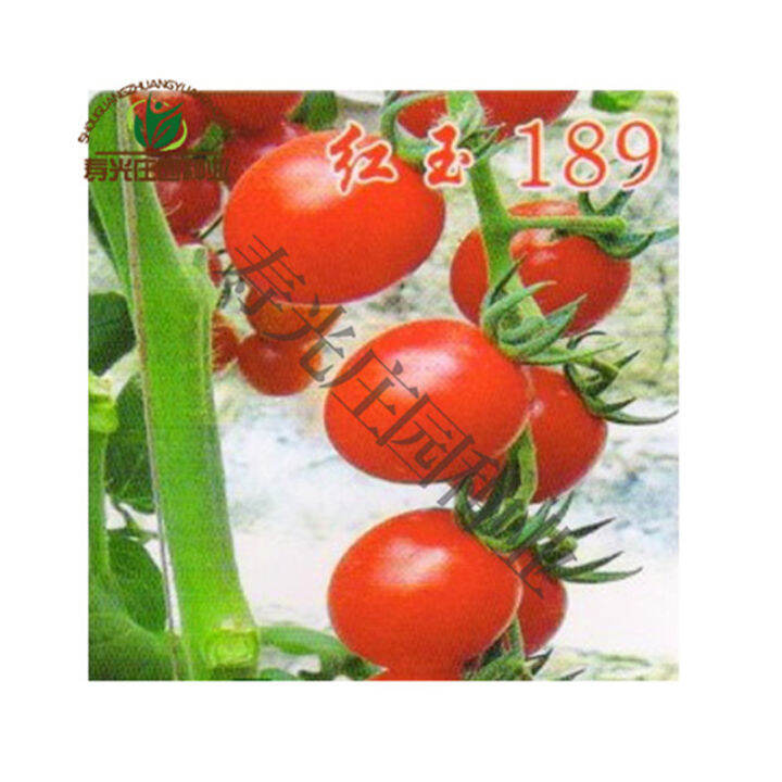 Japan ruby 189 tomato seeds red tomato tomatoes away hardness high