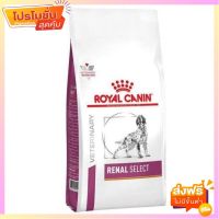 Royal Canin Renal Select อาหารสุนัขโรคไต กลิ่นพิเศษในแบบสุนัขเลือกกิน ขนาด 2 กก.