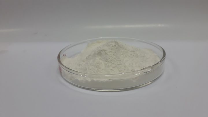w010-สารสกัดจากถั่วขาว-white-kidney-bean-extract-1-ขนาด-500-กรัม