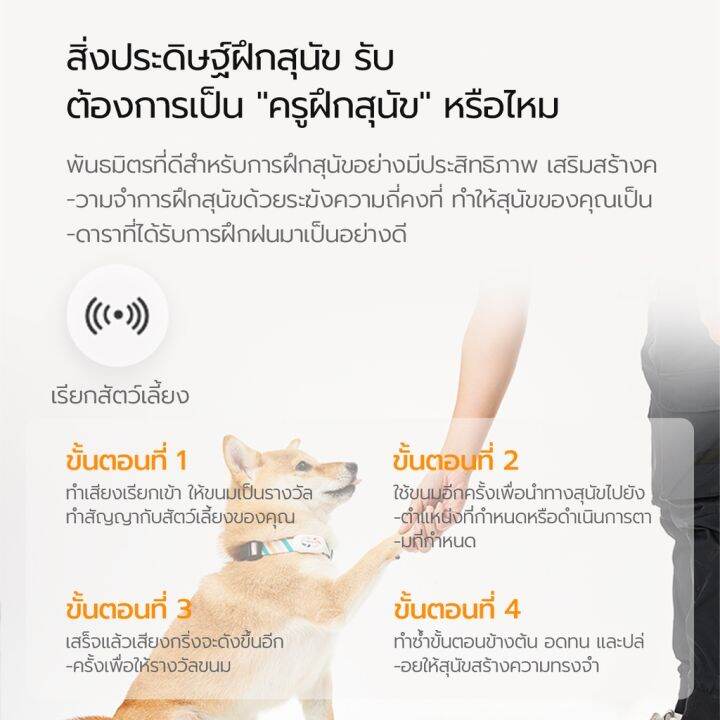 petkit-ปลอกคอสัตว์เลี้ยง-บลูทูธ-อัจฉริยะ-ตรวจสอบการนอนหลับ-พักข้อมูล-พร้อมเสียงเรียกเข้า-สําหรับสัตว์เลี้ยง-สุนัข-และแมว-ขนาดเล็ก-ขนาดกลาง