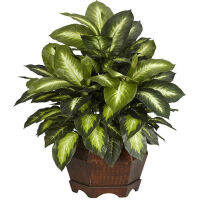 Golden dieffenbachia Silk Plant GREEN