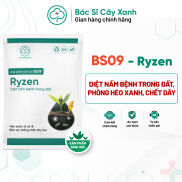 Chế phẩm phòng trừ nấm bệnh trong đất, giúp cây ra rễ, xanh lá