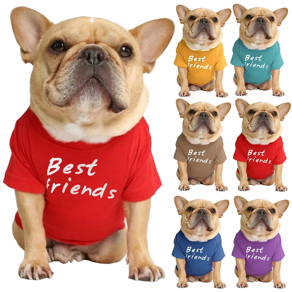 What Are Dog Clothes Called