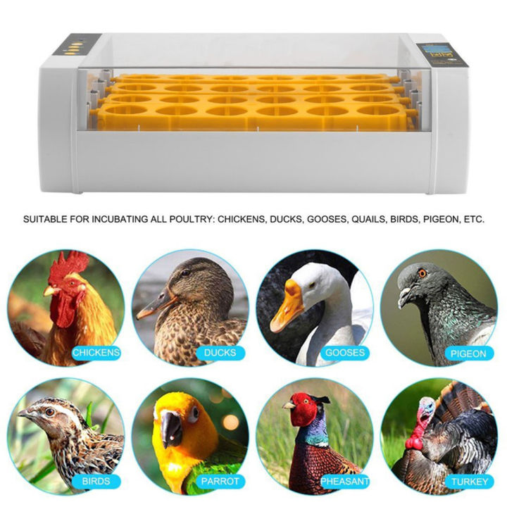 100-original-seaan-24-ไข่-digital-clear-hatcher-อุณหภูมิออโตเมติกประหยัดพลังงาน-quail-brooder-สำหรับ-home-farm