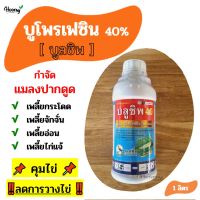 บูโพรเฟซิน - บลูชิพ 1 ลิตร - กำจัดเพลี้ยกระโดด เพลี้ยจักจั่น เพลี้ยอ่อน เพลี้ยไก่แจ้ คุมไข่