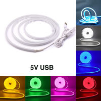 Seville 5V USB Neon Strip IP65กันน้ำ DIY ตกแต่งบ้านสีแดงสีฟ้าสีชมพูสีขาวน้ำแข็งสีฟ้า120 Leds/m 2835หลอดไฟ LED Strip แบบยืดหยุ่น