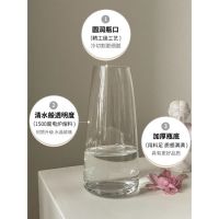 MUJI High-end 网红花瓶摆件客厅插花玻璃ins风北欧郁金香水培鲜花装饰小众轻奢