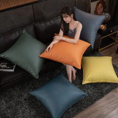 【SALES】 Technology cloth pillow sofa back cushion living room high-end new waterproof anti-fouling cat claw square