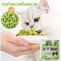 【OKADI】หญ้าแมวฟรีซดราย 50g หญ้าแมวอบแห้ง ต้นอ่อนข้าวสาลี สามารถช่วยกําจัดขนได้ ขนมสัตว์เลี้ยง