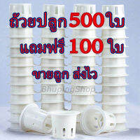 ส่งไว!! ขายถูก!!  ชุดถ้วยปลูกผักไฮโดรโปรนิกส์  ( 500ใบ ฟรี 100ใบ )  | ถ้วยปลูกผักสลัด รับประกันคุณภาพ หนาเหนียวทนทาน คุ้มค่าที่สุด