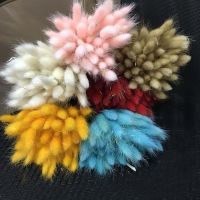 35-40CM/50PCS Dry Bunny Tails Grass Dried Natural Flowers Rabbittail BouquetDIY Hares Tail Flower For Home DecorWedding