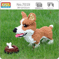 XZ 7019สัตว์โลกเวลส์ Corgi สุนัขยืนสัตว์เลี้ยงกระดูกอาหาร3D รุ่น DIY มินิเมจิกอิฐบล็อกอาคารของเล่นสำหรับเด็กไม่มีกล่อง