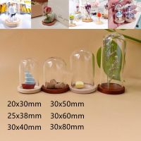 10/12pcs Mini Glass Dome Cloche With Wooden Base Jar Display Stand Terrarium Bottle Display Flower Home Decor Dust Cover Box