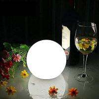 25CM Waterproof LED Glowing Beach Ball Light 13 Colors Waterproof Inflatable Floating Pool Light Yard Lawn Party Lamp Swimming