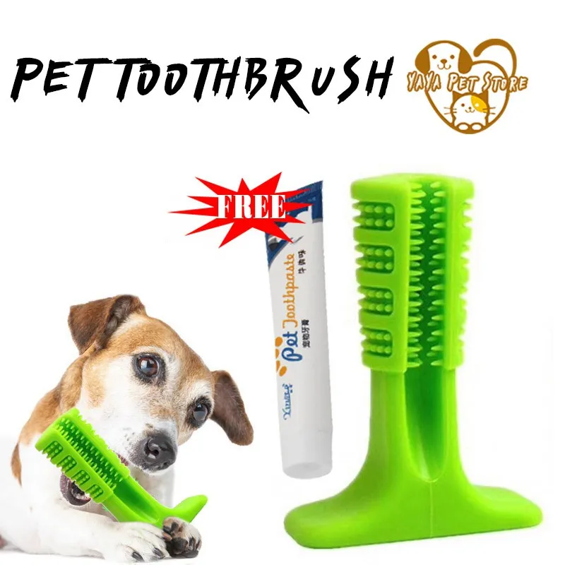 Teething toothbrush for sales dogs