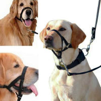 Adjustable Nylon Dog Muzzle Anti-barking Anti-bite Harness Head Collar Muzzle Dog Halter Training Leash Leader Classic Collar