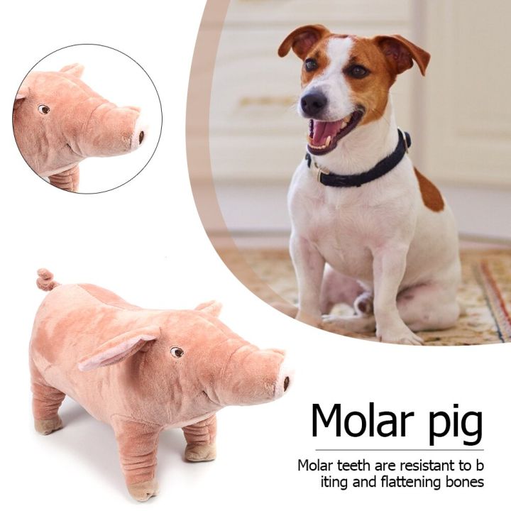 pig-shape-doll-dog-pet-chew-tooth-bite-resistant-stress-reliever-sleeping-toy-pet-plush-toy-dog-vent-decompression-doll-toys