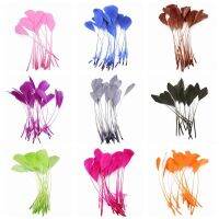 Feathers for Crafts 5-7 /13-18cm Accessories Jewelry Making Plumes