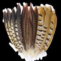 20PCS/bag Natural Pheasant Feathers for Crafts Decoration Jewelry making Party Craft-Feather Plume 15-20CM wholesale