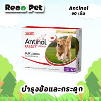 (แพ็คเกจใหม่) Antinol บำรุงข้อสำหรับสุนัข [1 กล่อง บรรจุ 60เม็ด]