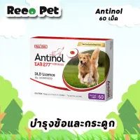 (แพ็คเกจใหม่) Antinol บำรุงข้อสำหรับสุนัข  [1 กล่อง บรรจุ 60เม็ด]