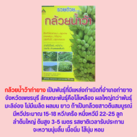 หนังสือเกษตร รวยด้วย...กล้วยน้ำว้า : ประโยชน์ของกล้วยน้ำว้า สายพันธุ์กล้วยน้ำว้า หลักการปลูกกล้วยน้ำว้า การขยายพันธุ์