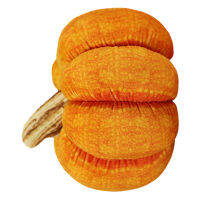 Pumpkin​ Shape Chic Plush Pillow Smooth and Kindly-friendly Plush Pillow for Helping Relieve Works Fatigue