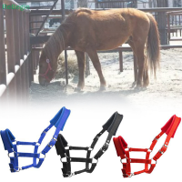 Ergonomic สบาย Unfettered Halters นุ่มเบาะ Horse Halter Bridle Headstall Head Collar อุปกรณ์ขี่ม้า