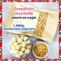 (ส่งไว) เมล็ดข้าวโพดpopcorn ป๊อบคอร์นกลม ป๊อปคอร์น นกอินทรีย์ มัชรูม จำนวน 1 Kg. (แพคถุงซิปอย่างดี)