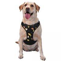 Dog Harness Pet Dog Chest Harness Vest Puppy Harness Outdoor Sports Pet Harness Traction Rope Suitable for Small and Medium Dogs