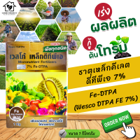 ผงจุลธาตุเหล็กคีเลตดีทีพีเอ 7% เวสโก้ เหล็กดีทีพีเอ Fe-DTPA (Wesco DTPA FE 7%) บรรจุ 1 กิโลกรัม