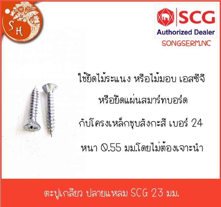 พร้อมส่งตะปูเกลียวยึดแป-ยึดกระเบื้องหลังคา-ปลายแหลม-ปลายสว่าน-scg